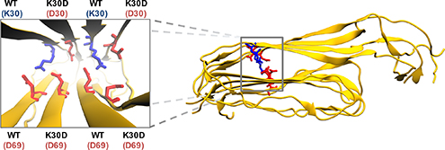 Graphical Abstract Image