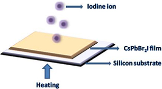 Graphical Abstract Image