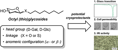 Graphical Abstract Image