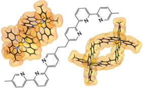 Graphical Abstract Image