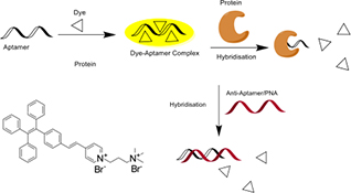 Graphical Abstract Image