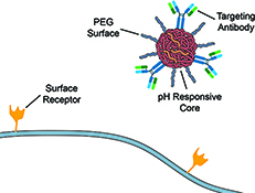 Graphical Abstract Image