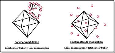 Graphical Abstract Image