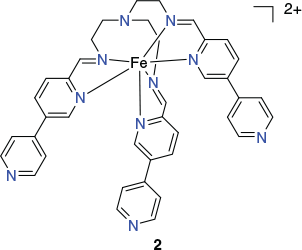 C2
