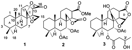 Graphical Abstract Image