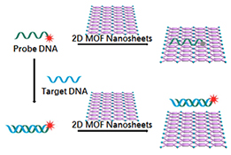 Graphical Abstract Image