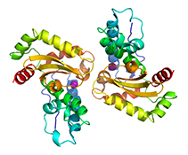 Graphical Abstract Image