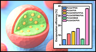 Graphical Abstract Image