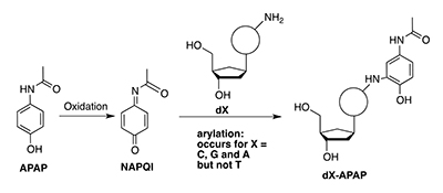 Graphical Abstract Image