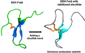 Graphical Abstract Image