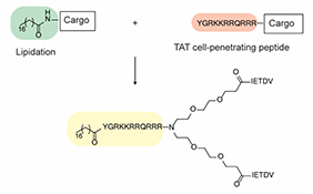 Graphical Abstract Image