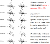 Graphical Abstract Image