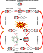 Graphical Abstract Image