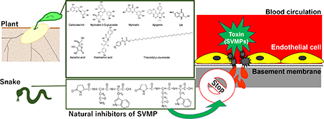 Graphical Abstract Image