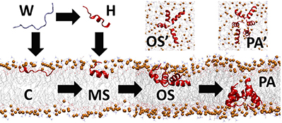 Graphical Abstract Image