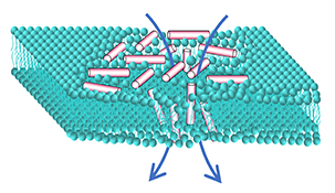 Graphical Abstract Image