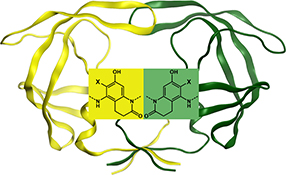 Graphical Abstract Image