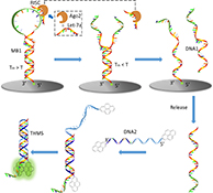 Graphical Abstract Image