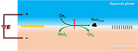 Graphical Abstract Image