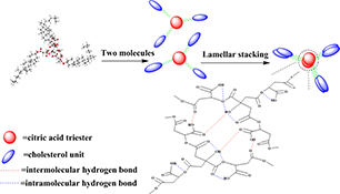 Graphical Abstract Image