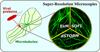 Graphical Abstract Image