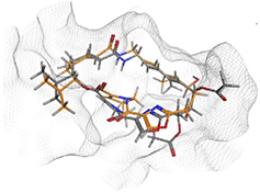 Graphical Abstract Image