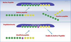 Graphical Abstract Image