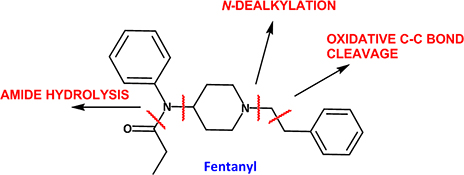 Graphical Abstract Image