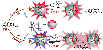 Graphical Abstract Image