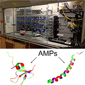 Graphical Abstract Image