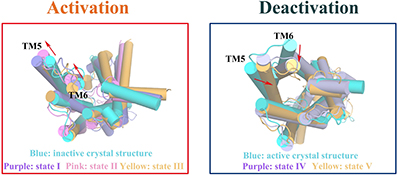 Graphical Abstract Image