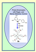 Graphical Abstract Image