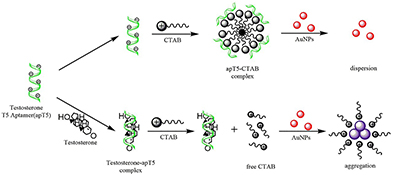 Graphical Abstract Image