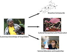 Graphical Abstract Image