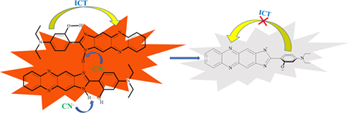 Graphical Abstract Image