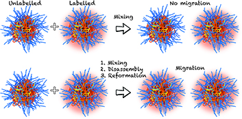 Graphical Abstract Image