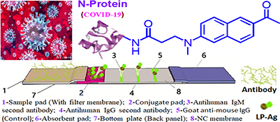 Graphical Abstract Image