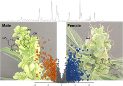 Graphical Abstract Image