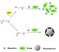 Graphical Abstract Image