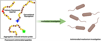 Graphical Abstract Image