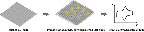 Graphical Abstract Image