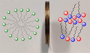 Graphical Abstract Image