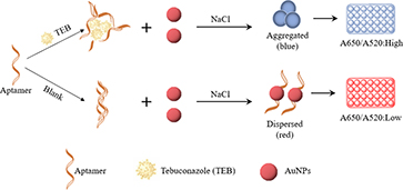 Graphical Abstract Image