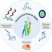 Graphical Abstract Image