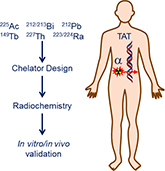 Graphical Abstract Image