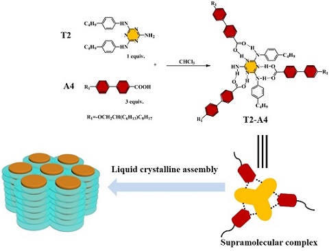 Graphical Abstract Image