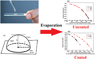 Graphical Abstract Image