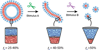 Graphical Abstract Image