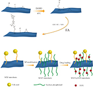 Graphical Abstract Image