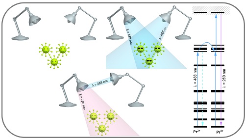 Graphical Abstract Image